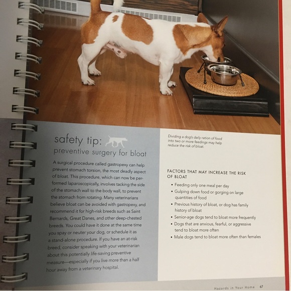 THE SAFE DOG HANDBOOK by Melodie  Monteiro spiral-bound hardback EUC - Picture 7 of 12